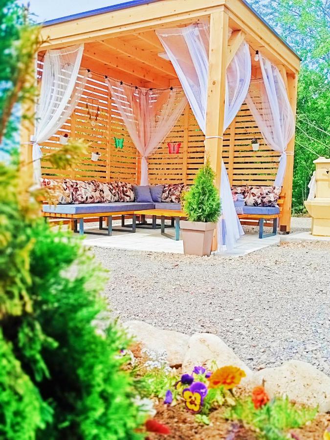 Brvnare Madera Banja Zdrelo Villa Exteriör bild