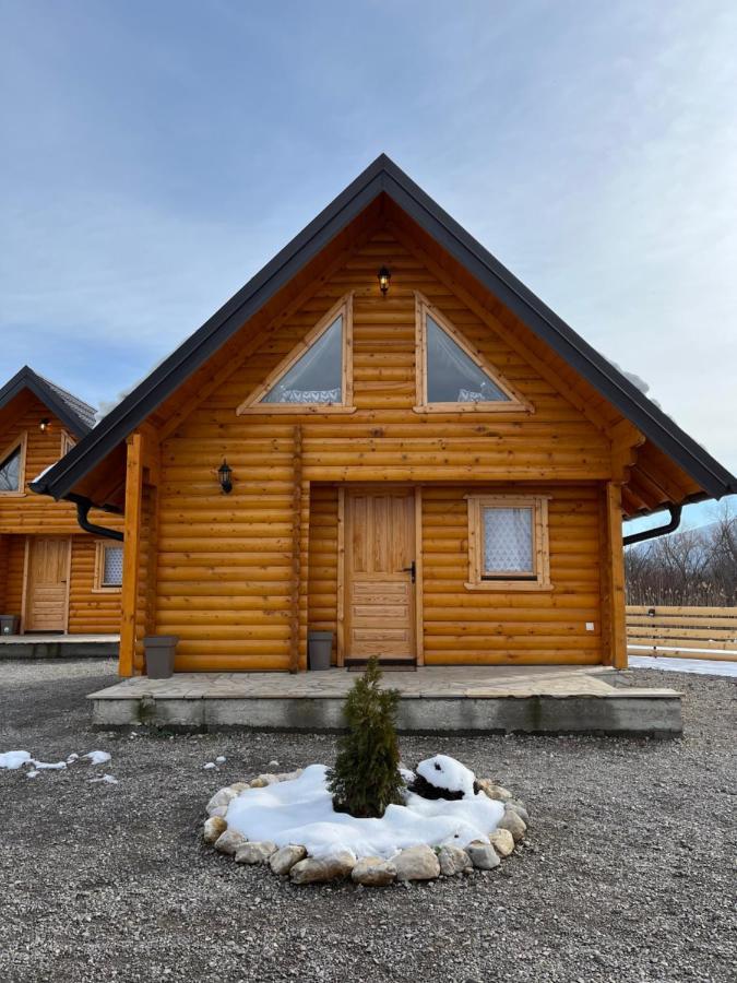 Brvnare Madera Banja Zdrelo Villa Exteriör bild
